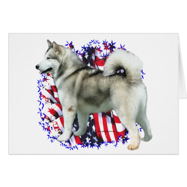 Alaskan Malamute Patriot (Front Horizontal)