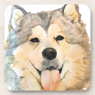 Alaskan Malamute Portrait Coaster