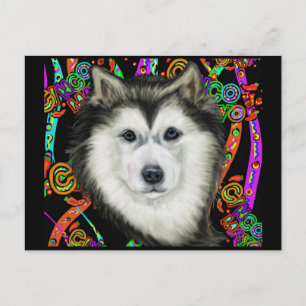 Alaskan Malamute Postcard