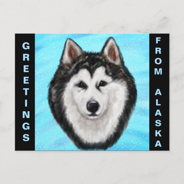 ALASKAN MALAMUTE POSTCARD (Front)