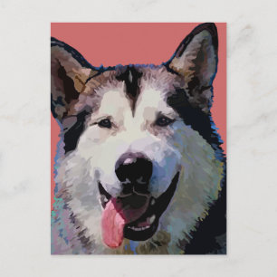 Alaskan Malamute Postcard