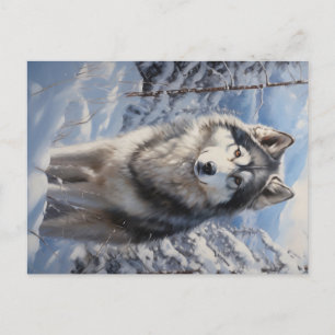 Alaskan Malamute Postcard