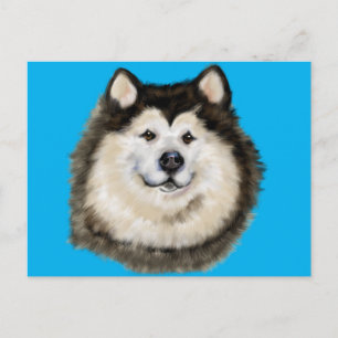 Alaskan Malamute Postcard