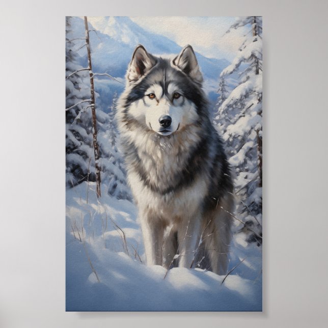 Alaskan Malamute Poster (Front)