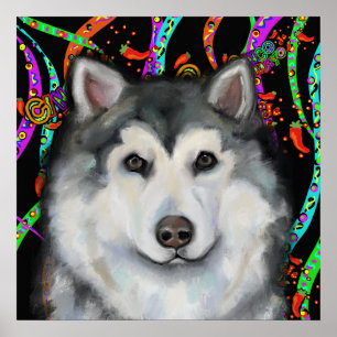 Alaskan Malamute  Poster