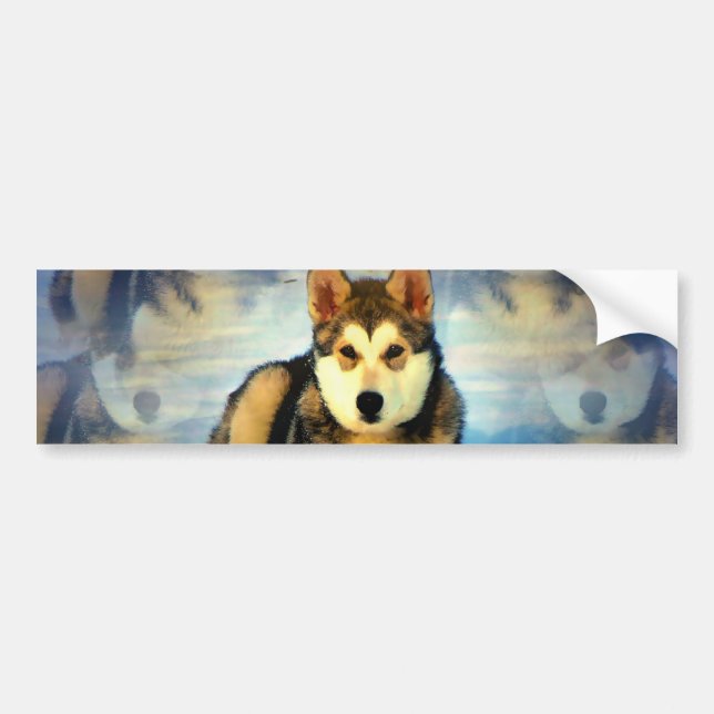 Alaskan Malamute Puppies Bumper Sticker (Front)
