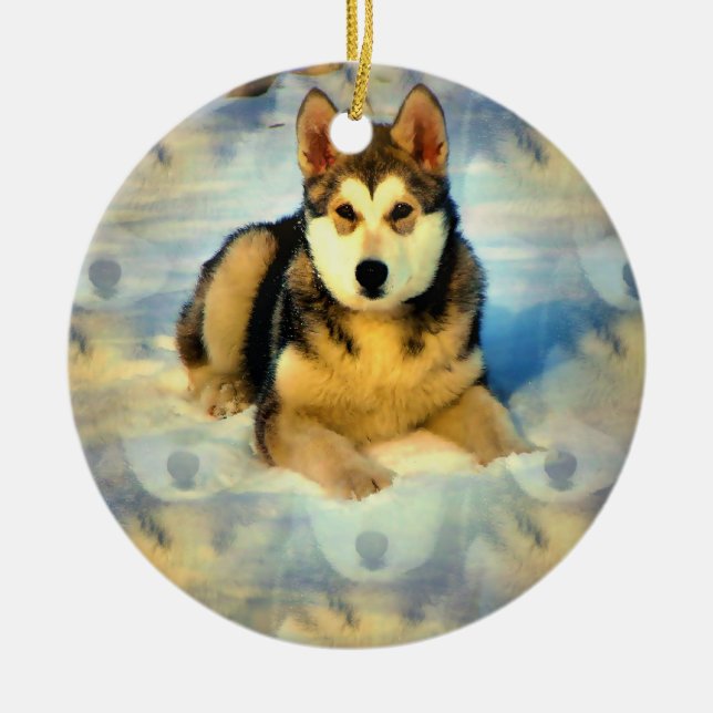 Alaskan Malamute Puppies Ornament (Front)