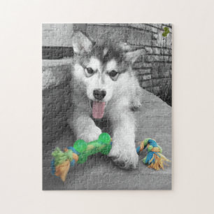Alaskan Malamute Puppy Colour Splash Photograph Jigsaw Puzzle