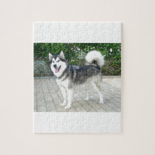 Alaskan Malamute Puppy Dog Jigsaw Puzzle