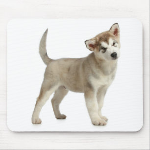 Alaskan Malamute Puppy Dog Mousepad