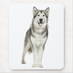 Alaskan Malamute Puppy Dog Mousepad