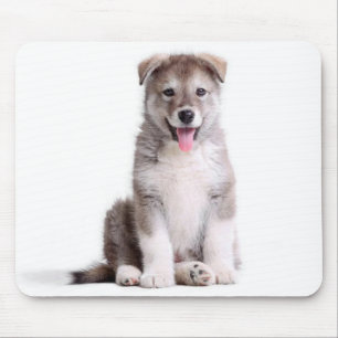 Alaskan Malamute Puppy Dog Mousepad