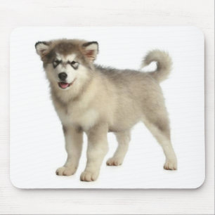 Alaskan Malamute Puppy Dog Mousepad