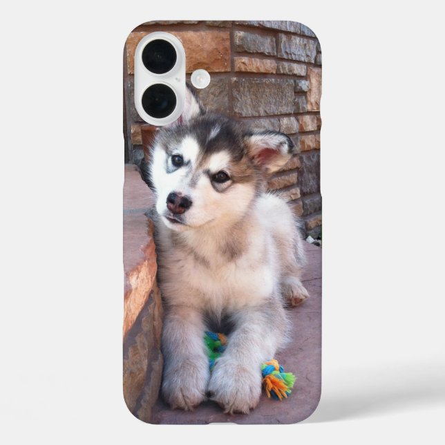 Alaskan Malamute Puppy Head Tilt Photograph Case-Mate iPhone Case (Back)