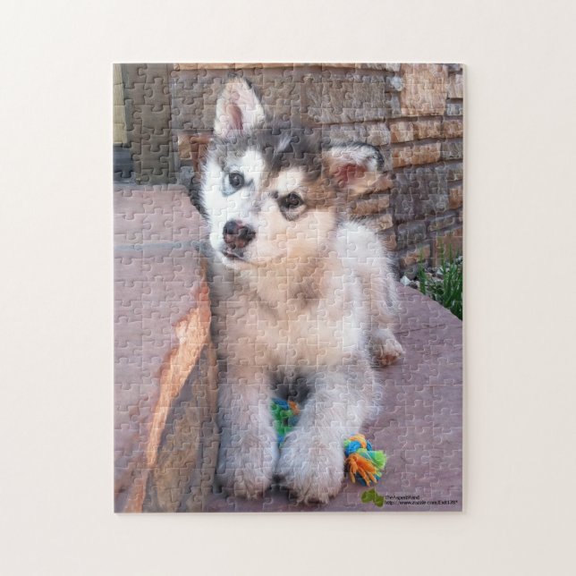 Alaskan Malamute Puppy Head Tilt Photograph Jigsaw Puzzle (Vertical)