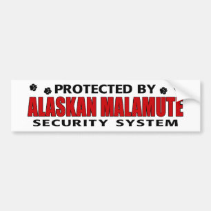 Alaskan Malamute Security Bumper Sticker