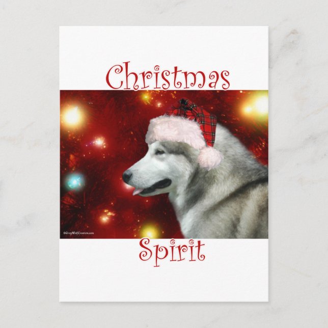 Alaskan Malamute Spirit Postcard (Front)