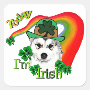 Alaskan Malamute St. Patrick's Day Square Sticker