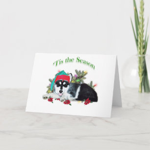 Alaskan Malamute ‘Tis Holiday Card