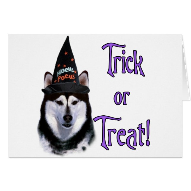 Alaskan Malamute Trick (Front Horizontal)