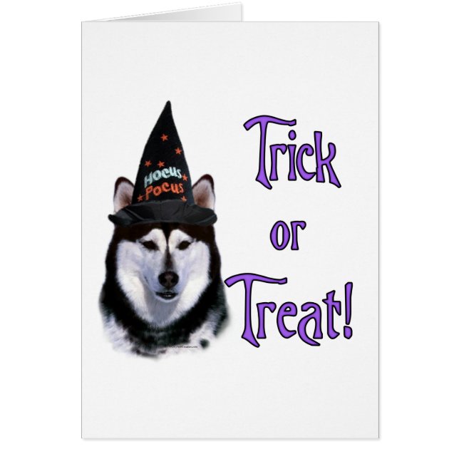 Alaskan Malamute Trick (Front)