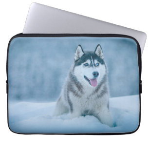Alaskan Malamute walking on snow field Laptop Sleeve