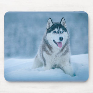 Alaskan Malamute walking on snow field Mouse Pad