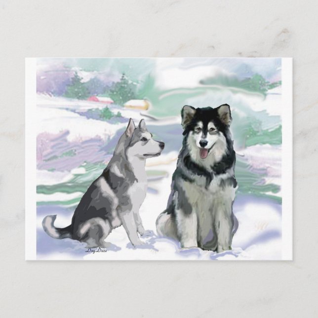 Alaskan Malamute Winter Scene Postcard (Front)