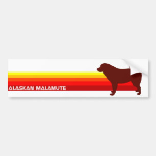Alaskan Malamute With Stripes Bumper Sticker