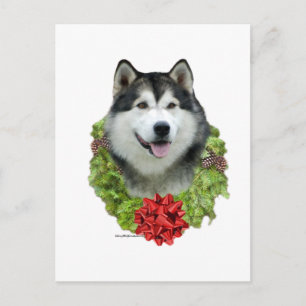 Alaskan Malamute Wreath Postcard