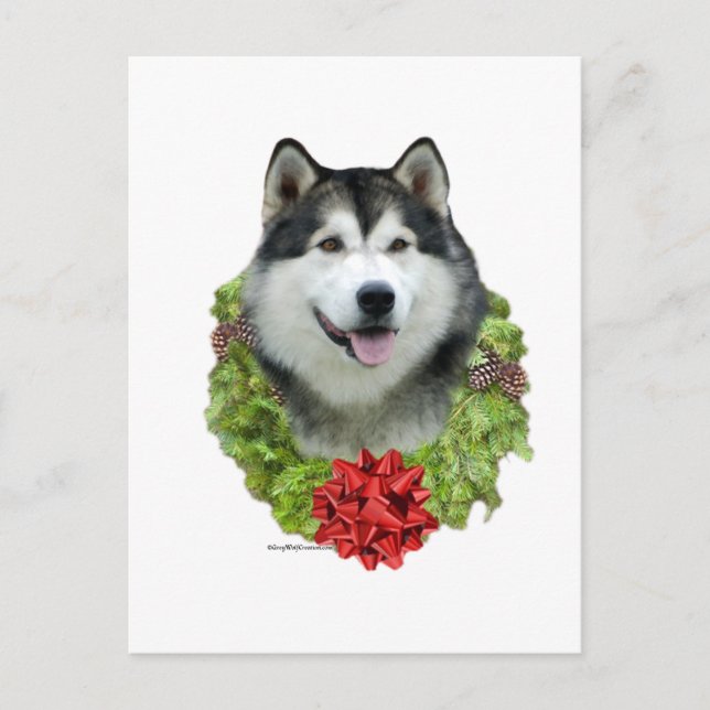 Alaskan Malamute Wreath Postcard (Front)