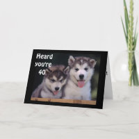 "ALASKAN MALAMUTES 40th BIRTHDAY WISHES"