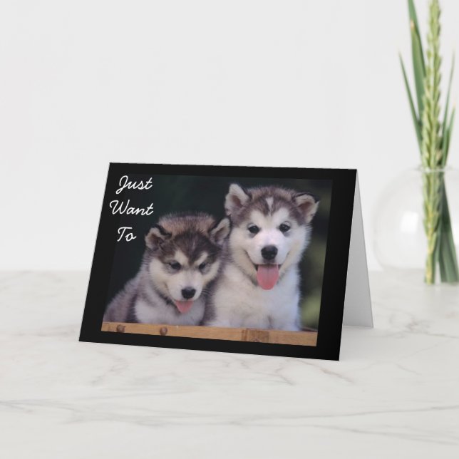 "ALASKAN MALAMUTES BIRTHDAY WISHES" CARD (Front)
