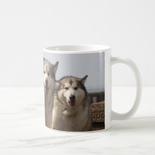 Alaskan Malamutes Coffee Mug