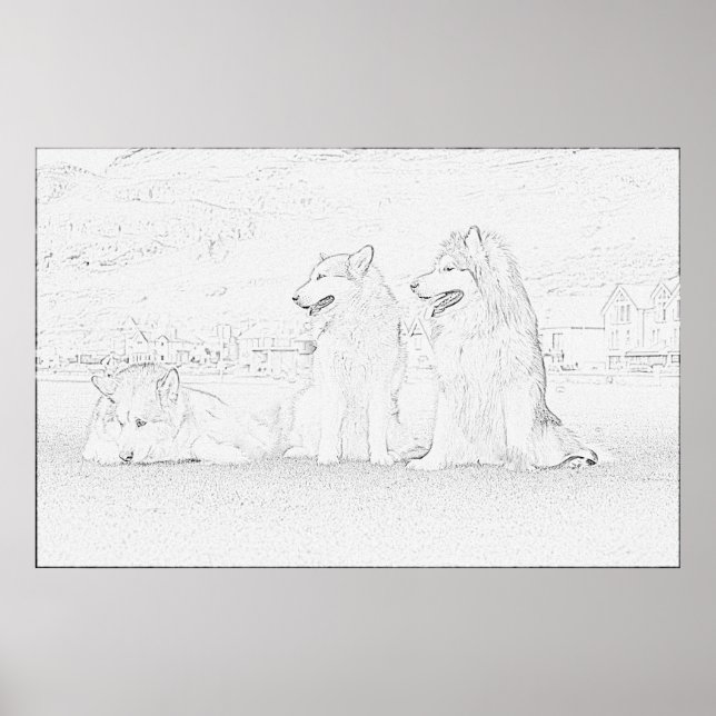Alaskan Malamutes Poster (Front)