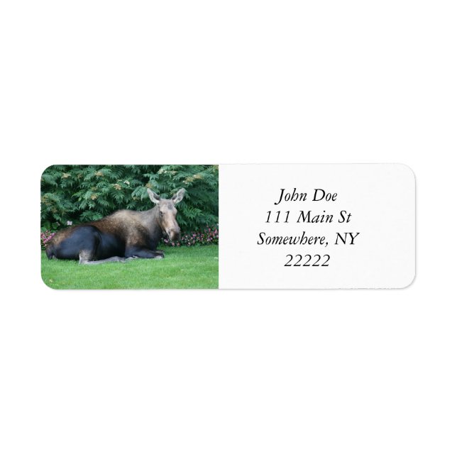 Alaskan Moose Return Address Label (Front)
