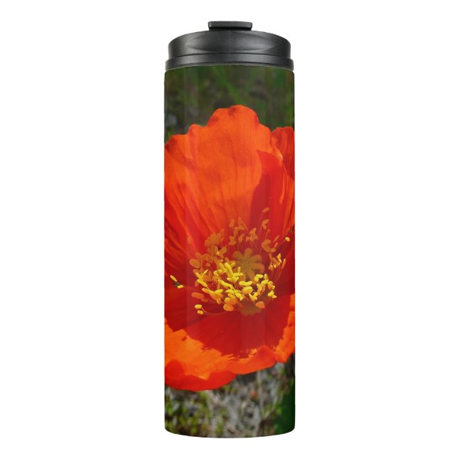 Alaskan Red Poppy Colorful Flower Thermal Tumbler (Front)