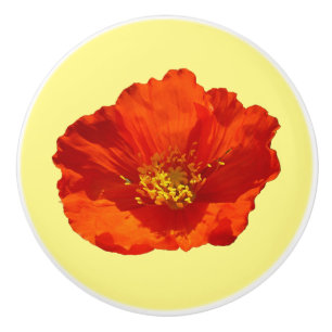 Alaskan Red Poppy Colourful Flower Ceramic Knob