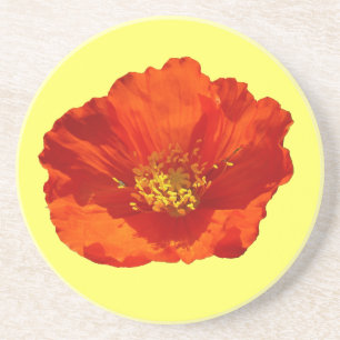Alaskan Red Poppy Colourful Flower Coaster