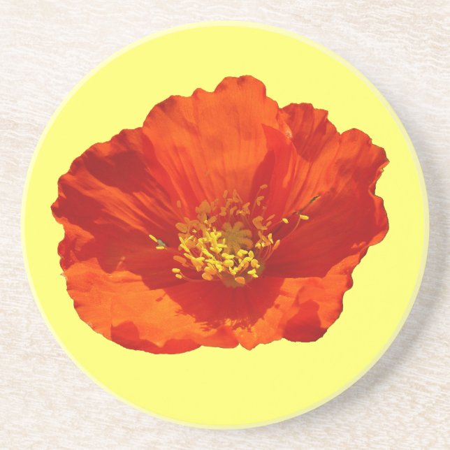 Alaskan Red Poppy Colourful Flower Coaster (Front)