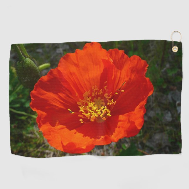 Alaskan Red Poppy Colourful Flower Golf Towel (Horizontal)