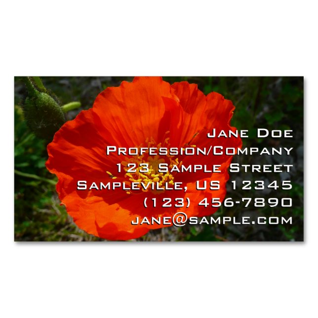 Alaskan Red Poppy Colourful Flower Magnetic Business Card (Front)
