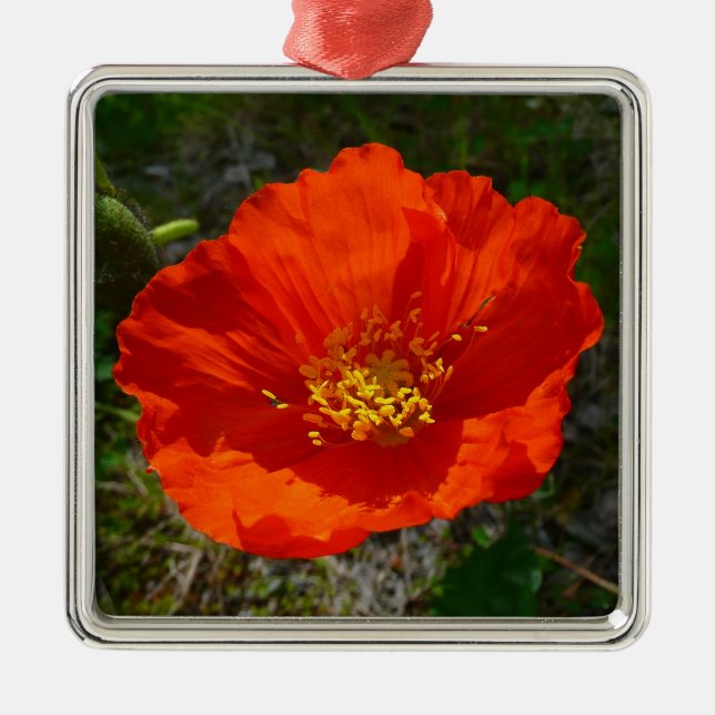 Alaskan Red Poppy Colourful Flower Metal Ornament (Front)