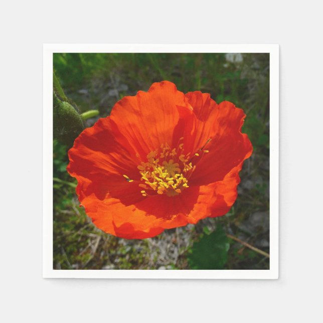 Alaskan Red Poppy Colourful Flower Napkin (Front)