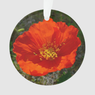 Alaskan Red Poppy Colourful Flower Ornament