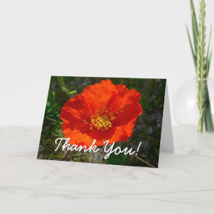 Alaskan Red Poppy Thank You Card