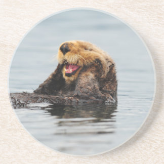 Alaskan Sea Otter Coaster