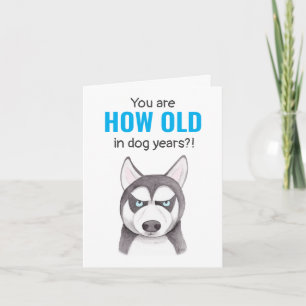 Alaskan Siberian Husky Funny Dog Lover Birthday Card