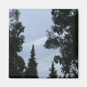 Alaskan sky magnet