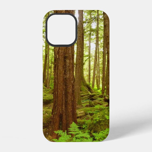 Alaskan Temperate Rainforest iPhone Case (Back)